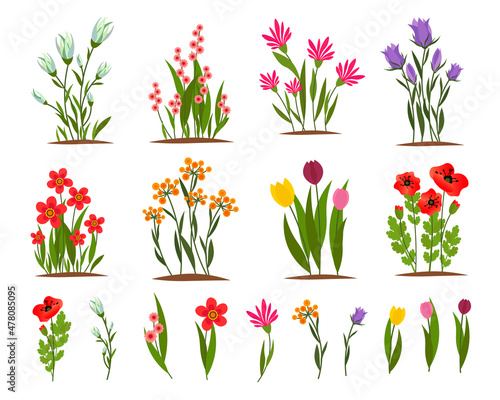 Set of spring flowers on the garden bed. Floral vector drawing. For use in decor, postcards, flower shops, brochures and covers, prints.