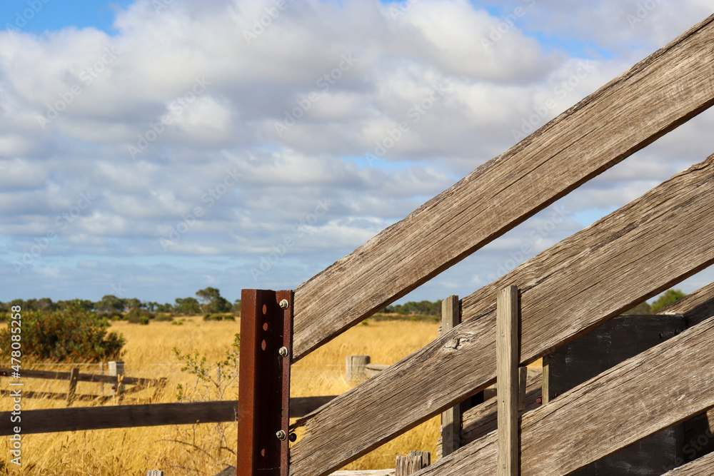 cattle ramp in farm field cattle ramp in farm field