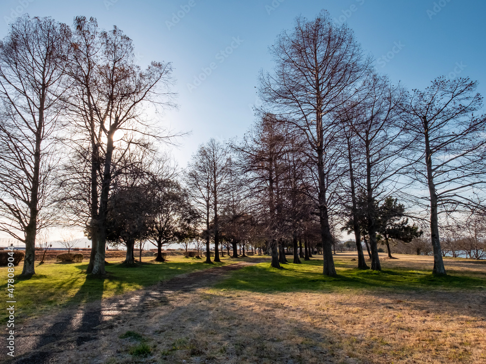 冬の琵琶湖畔　寒々とした公園の風景　滋賀県草津市