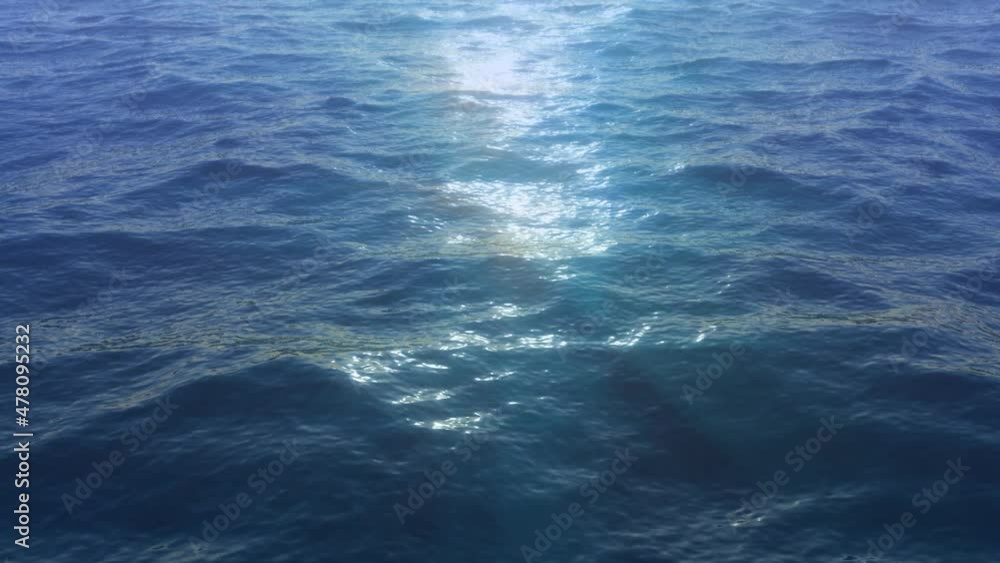 Ocean Flying Ocean Flying