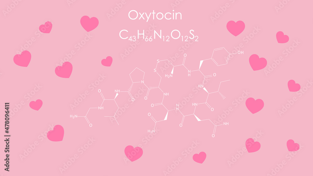 愛情ホルモンと呼ばれるオキシトシンの化学式
