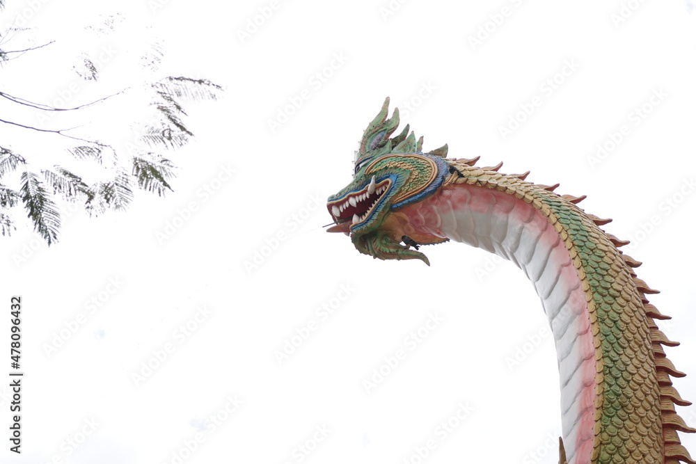 Obraz premium chinese dragon head