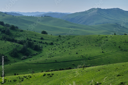 Green hills of Altai, mountain pastures.