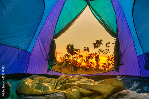 View from the Inside of Tent at sunset in the forest.soft focus.