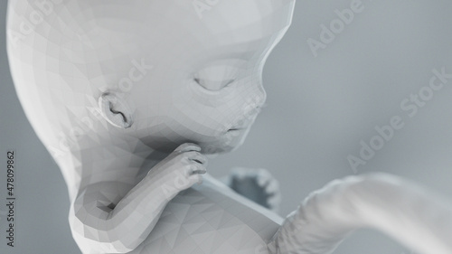3d rendered illustration of an abstract human fetus - week 9
