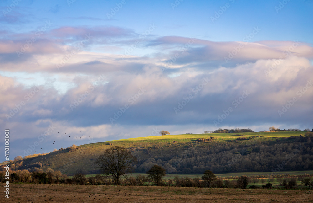 View from the roadside of Fovant down and Hydon Hill on the west Wiltshire Downs Cranbourne Chase south west England
