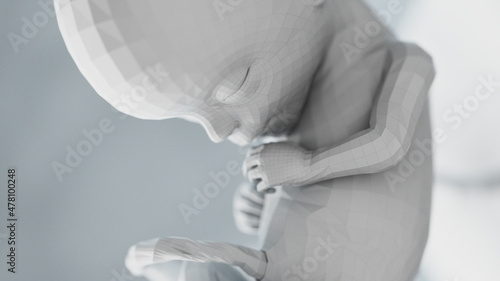 3d rendered illustration of an abstract human fetus - week 15 photo