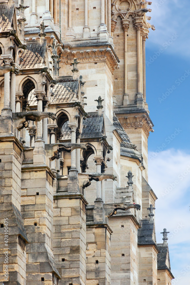 North facade of Notre Dame de Paris, symbol of French medieval architecture. Massive buttresses with gargoyles (chimeras), French Gothic style. Close-up photo. Travel, art and history concept