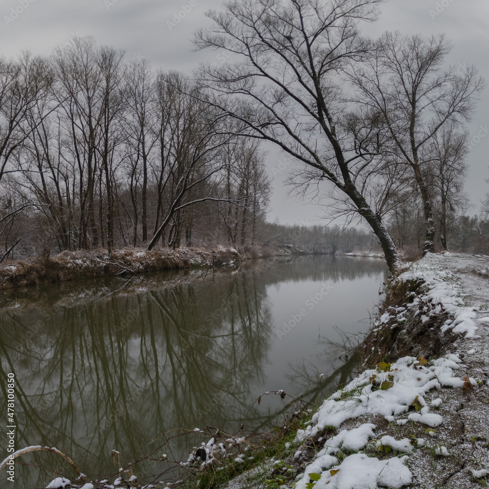 Winter landscape of Ukrina river, snowy banks and naked trees in riparian zone Winter landscape of Ukrina river, snowy banks and naked trees in riparian zone