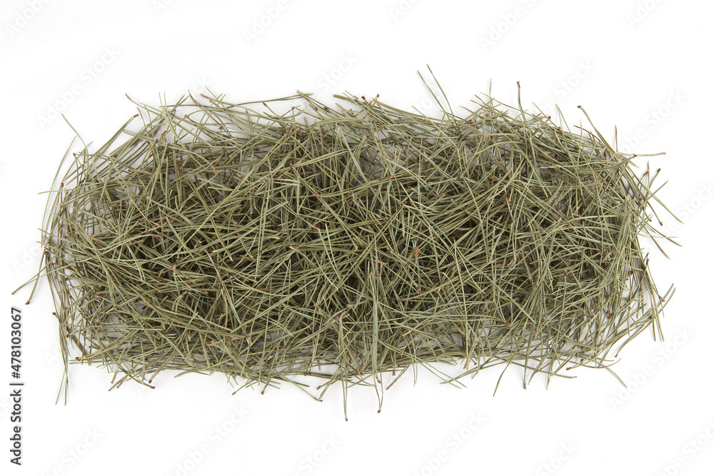 Pile of pine needles isolated on white background. Heap of green coniferous tree needles.