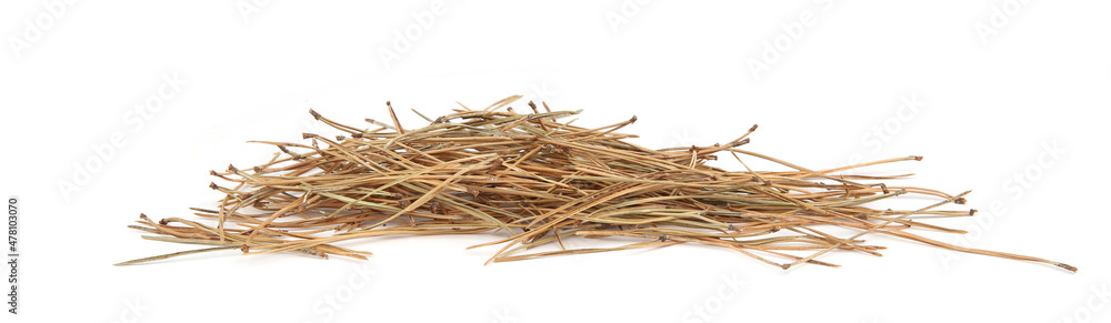 Pile of dried pine needles isolated on white background. Heap of coniferous tree needles. Pile of dried pine needles isolated on white background. Heap of coniferous tree needles.