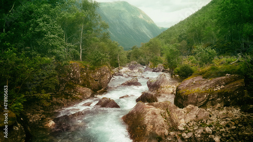 Beautiful landscape with mountain river © vvvita