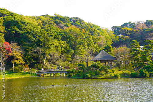 日本庭園　Japanese garden　三渓園