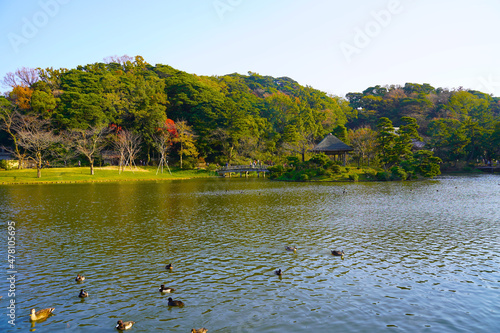 日本庭園　Japanese garden　三渓園
