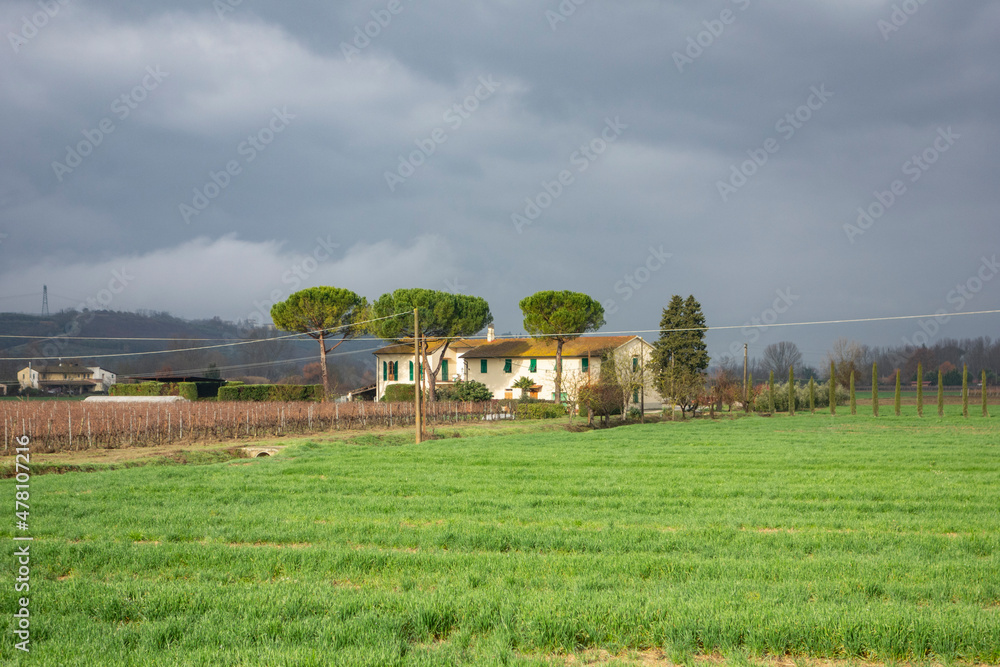 Obraz premium Casolare toscano tra cambi e pini marittimi in toscana