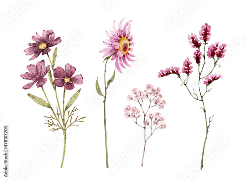 set of watercolor illustrations of pink flowers and plants on a white background. hand painted for design and invitations.