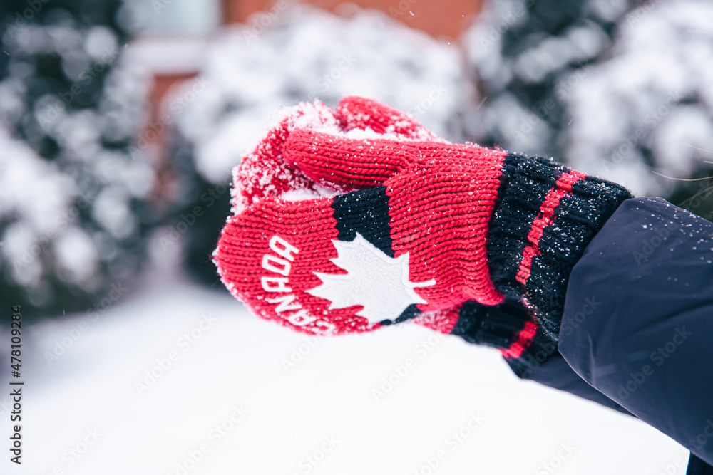 Close-up of hands in red Canada mittens make a snowball from the snow.