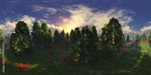 Forest under the sky with clouds,, environment map , Round panorama, spherical panorama, equidistant projection, panorama 360, 3d rendering