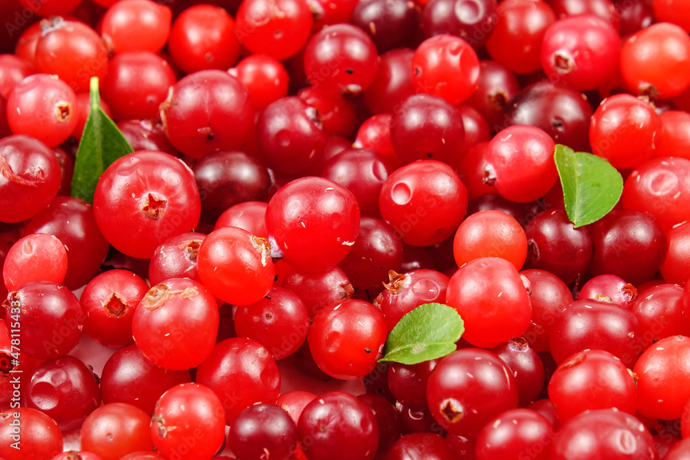 Ripe fresh cranberries scattered on the table, natural background Ripe fresh cranberries scattered on the table, natural background