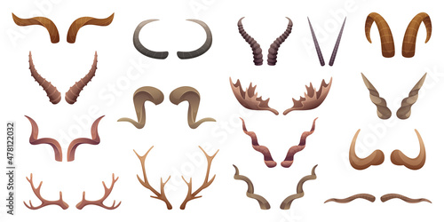 Horns collection. Buffalo rams sheep animal head anatomic parts exact vector collection set