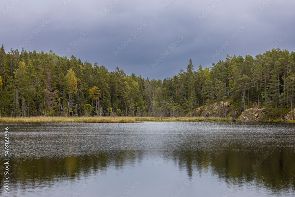 Landscape in Tyresta national park, Sweden.