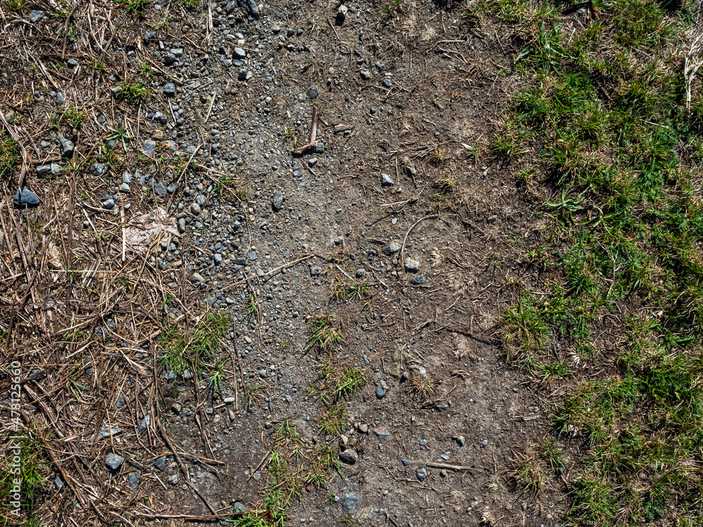 imagen textura suelo de tierra y piedras con algunas hierbas imagen textura suelo de tierra y piedras con algunas hierbas