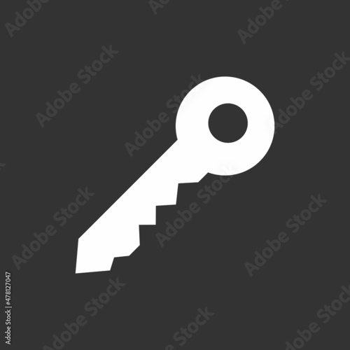 Key Glyph Inverted Vector Icon Design