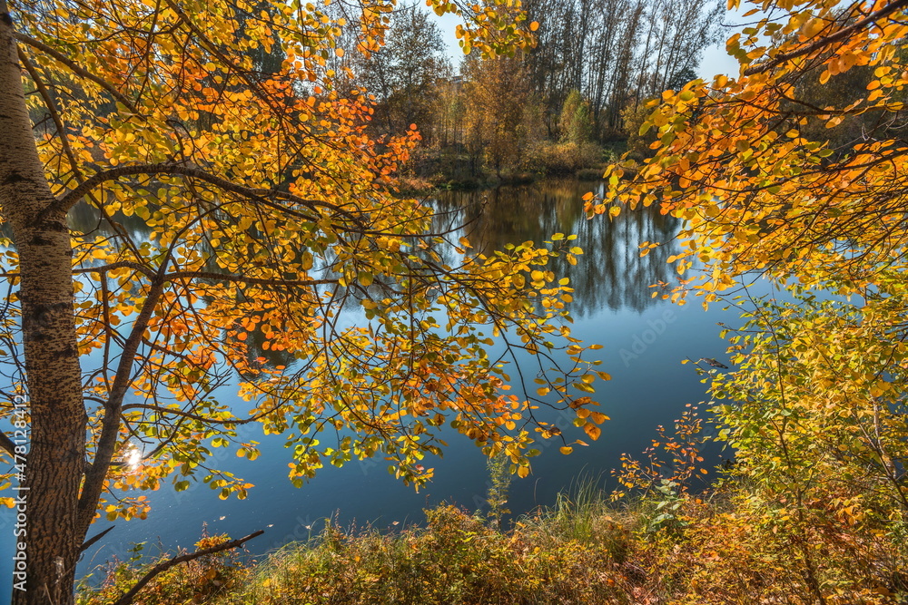 autumn trees in the water