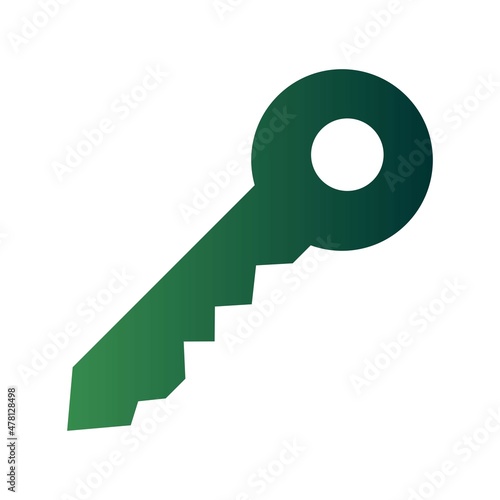 Key Glyph Gradient Vector Icon Design