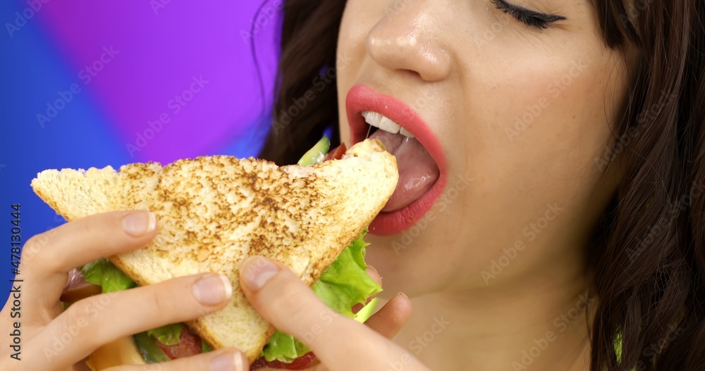 Portrait of a brunette girl eating a sandwich for lunch. A hungry woman is having breakfast. Portrait of a brunette girl eating a sandwich for lunch. A hungry woman is having breakfast.