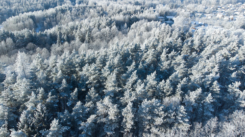 Aerial view for snowy forest. Tree under snow © Ruslan