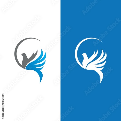 Fototapeta Naklejka Na Ścianę i Meble -  Dove bird logo vector design