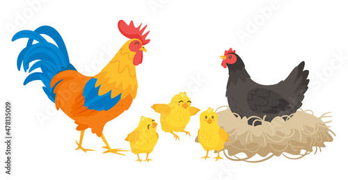 Chicken happy family. Vector illustration. White background