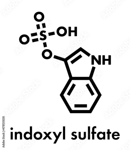 Indoxyl sulfate molecule. Metabolite of tryptophan. Skeletal formula.