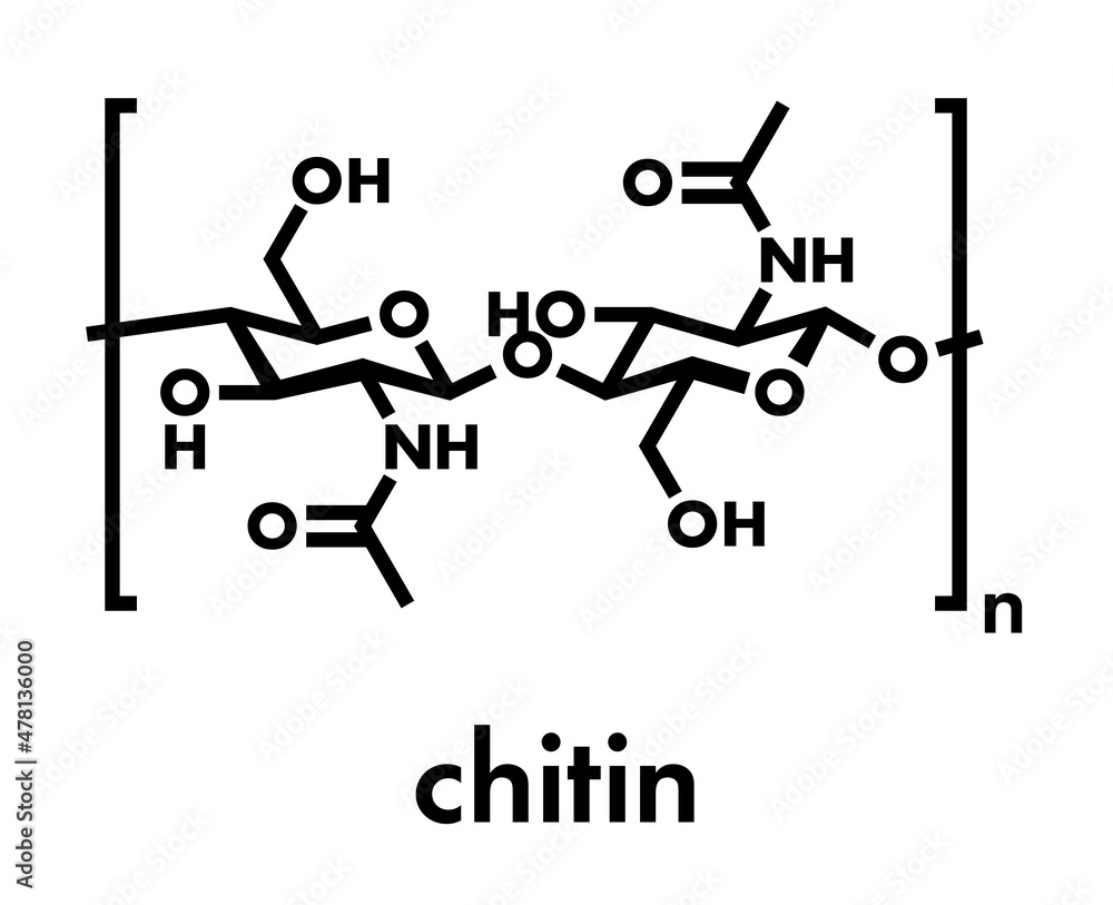 Chitin, chemical structure. Chitin is a polymer of N-acetylglucosamine and is present in the exoskeletons of insects, crustaceans, etc. Skeletal formula. Chitin, chemical structure. Chitin is a polymer of N-acetylglucosamine and is present in the exoskeletons of insects, crustaceans, etc. Skeletal formula.