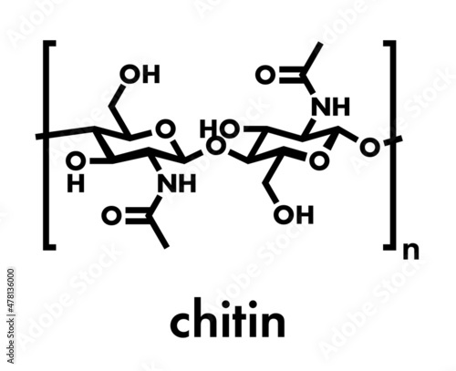 Chitin, chemical structure. Chitin is a polymer of N-acetylglucosamine and is present in the exoskeletons of insects, crustaceans, etc. Skeletal formula.