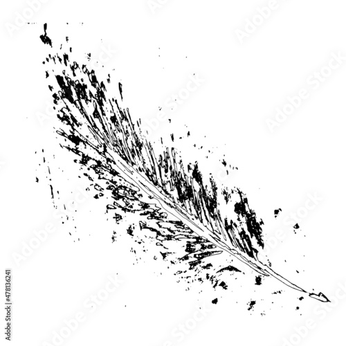 Feather of bird. Hand drawn ink retro illustration black