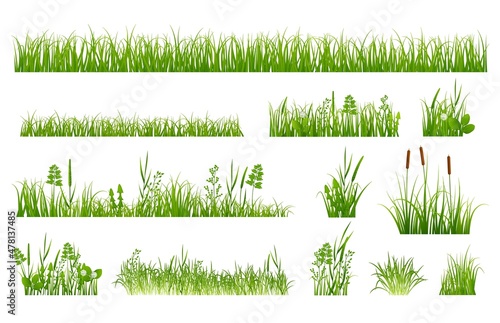 Green grass elements. Gardening elements, spring garden greeny meadow. Plants and weeds, reeds and flowers. Isolated nature exact vector set