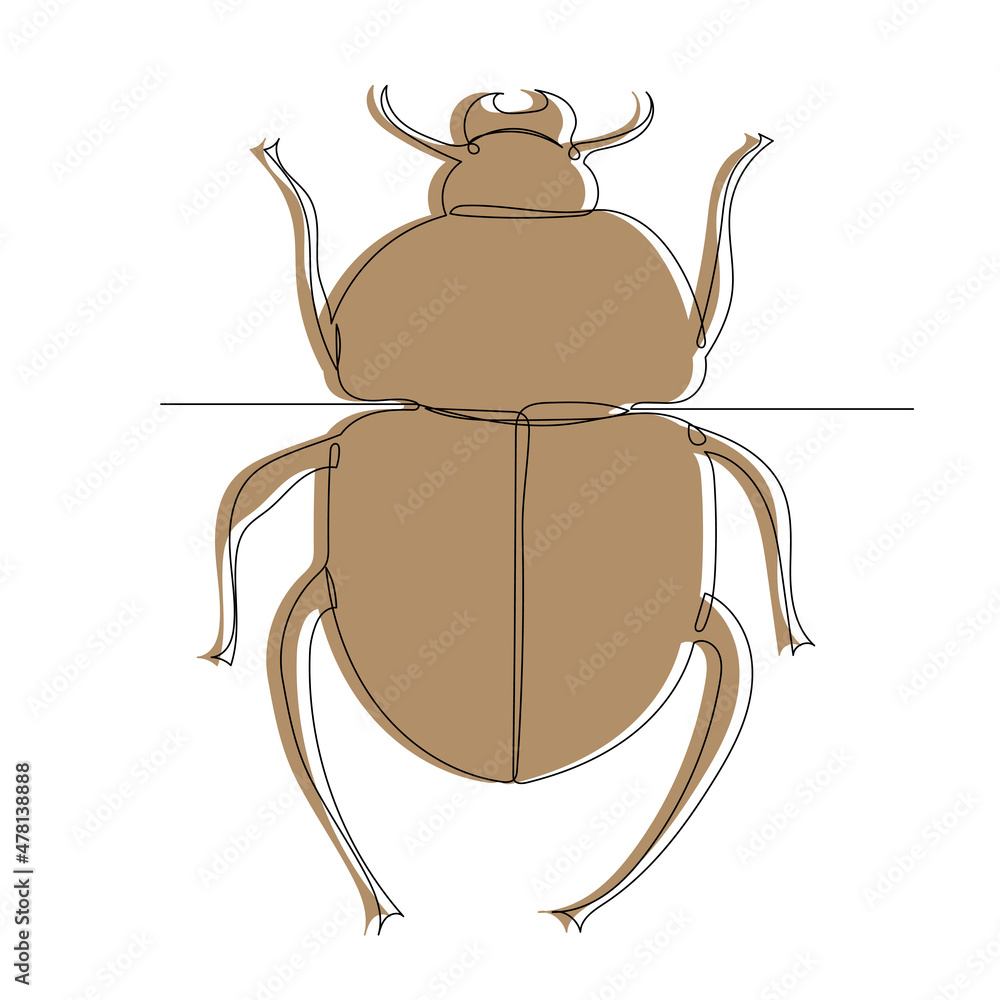 brown beetle, sketch, outline by line, vector brown beetle, sketch, outline by line, vector