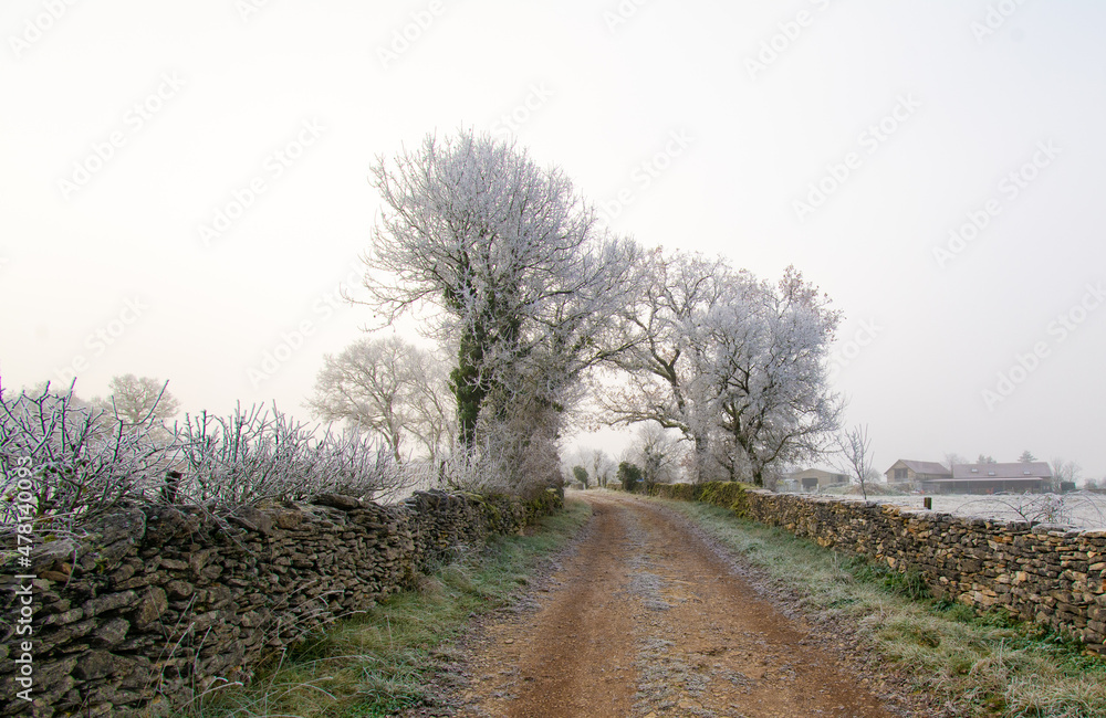 Givre sur le Quercy Givre sur le Quercy