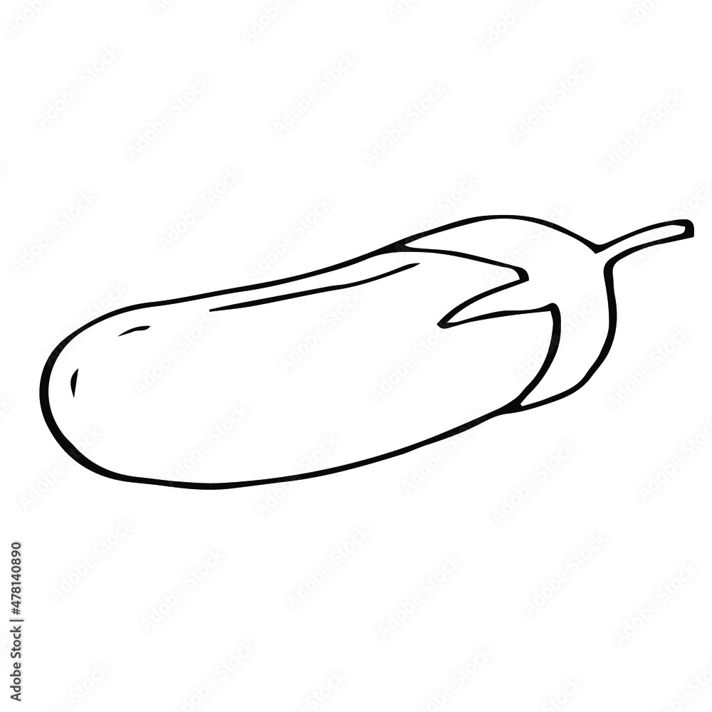 Eggplant vector illustration, hand drawing doodle Eggplant vector illustration, hand drawing doodle