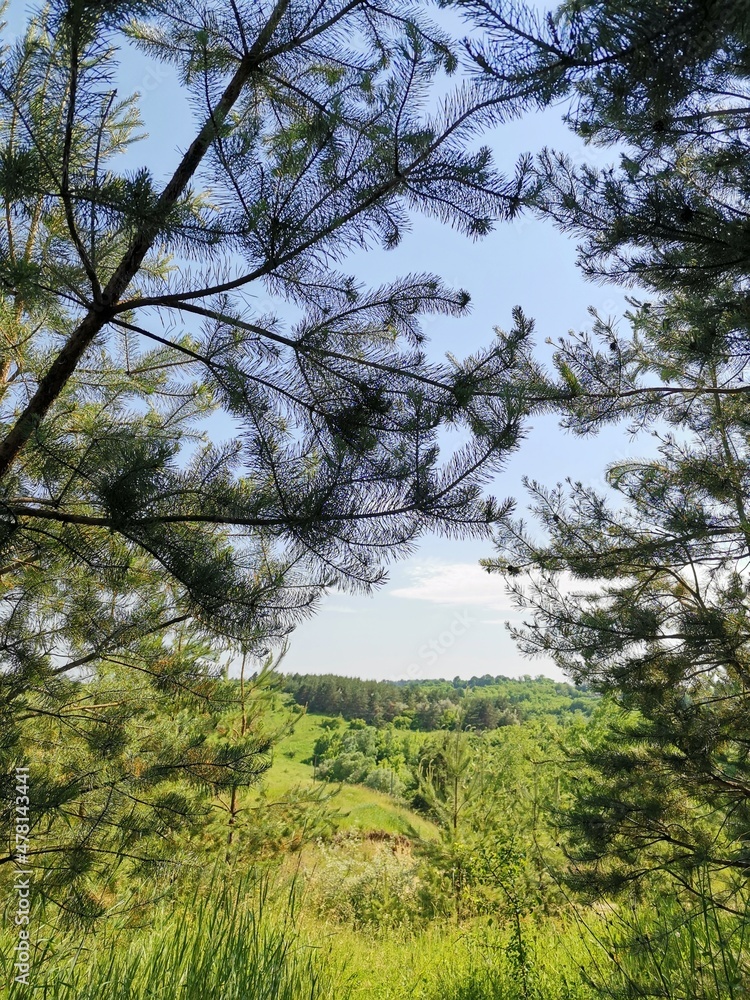 tree, nature, sky, landscape, forest, trees, pine, spring, grass, lake, water, summer, park, leaves, river, wood, hill, outdoors, cloud, garden, clouds, day, travel, view, branches