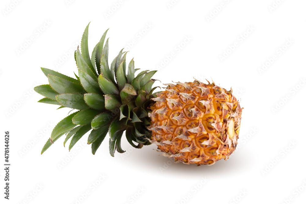 Ripe pineapple fruits isolated on white background. Ripe pineapple fruits isolated on white background.