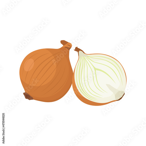 Flat vector of Spring Onion isolated on white background. Flat illustration graphic icon