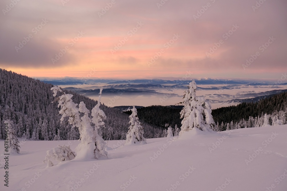 Mountains Babia Gora massif in winter scenery with snowy trees at sunrise sunlight. Diablak, Beskid Zywiecki, Poland