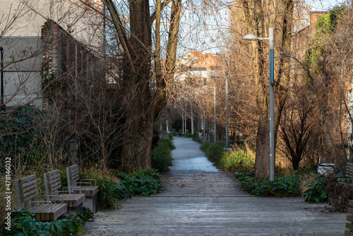 Pedestrian path of the Senne park with vegetation and seats photo