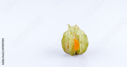 Eine Physalis, WeisenHintergrund