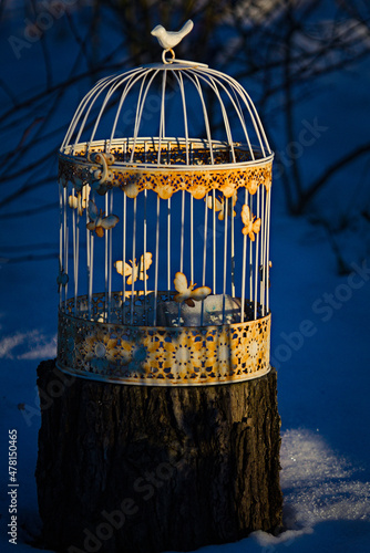 Fotografie, Tablou Old empty rusty birdcage