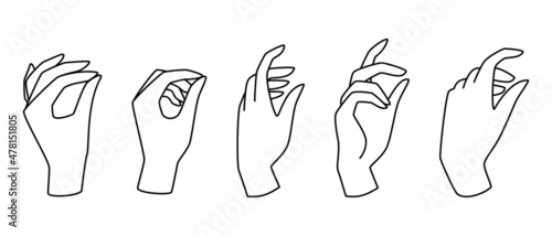 Canvastavla Line hands vector illustration with relaxed palm, fingers and thumb in elegant expressions