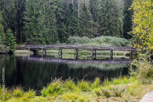 étang de la gruère, la gruère, See, Moorsee, Moor, Weiher, Hochmoor, Wanderweg, Spazierweg, Holzbrücke, Wald, Waldweg, Wasserpflanzen, Torfmoos, Jura, Naturschutz, Herbst, Herbstfarben, Schweiz